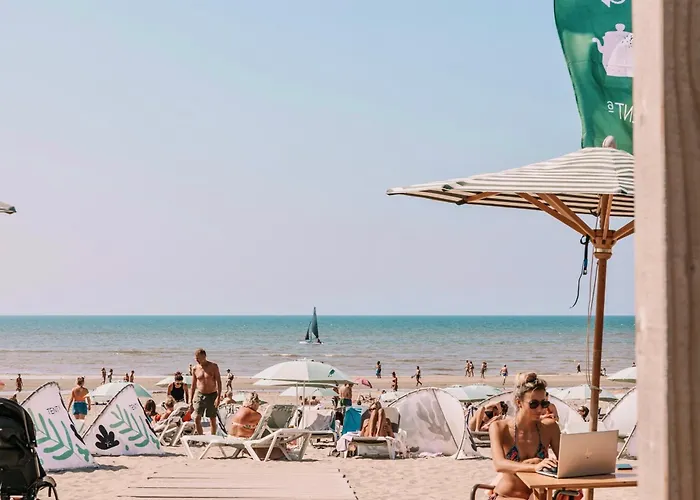 House Amsterdam Lohman * Zandvoort